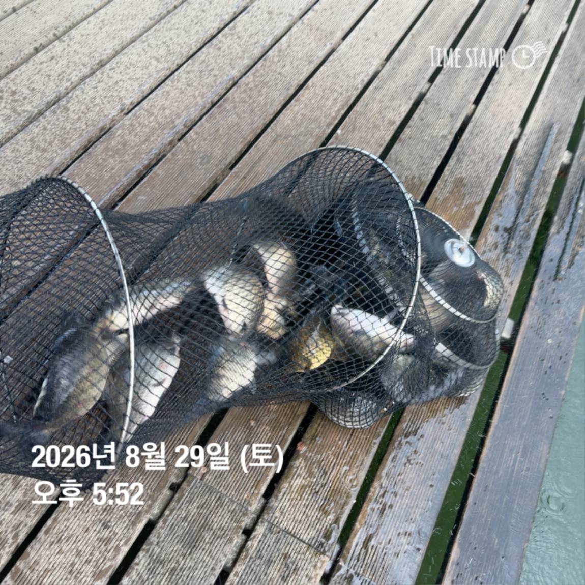 KakaoTalk_20260831_111229538_24.jpg