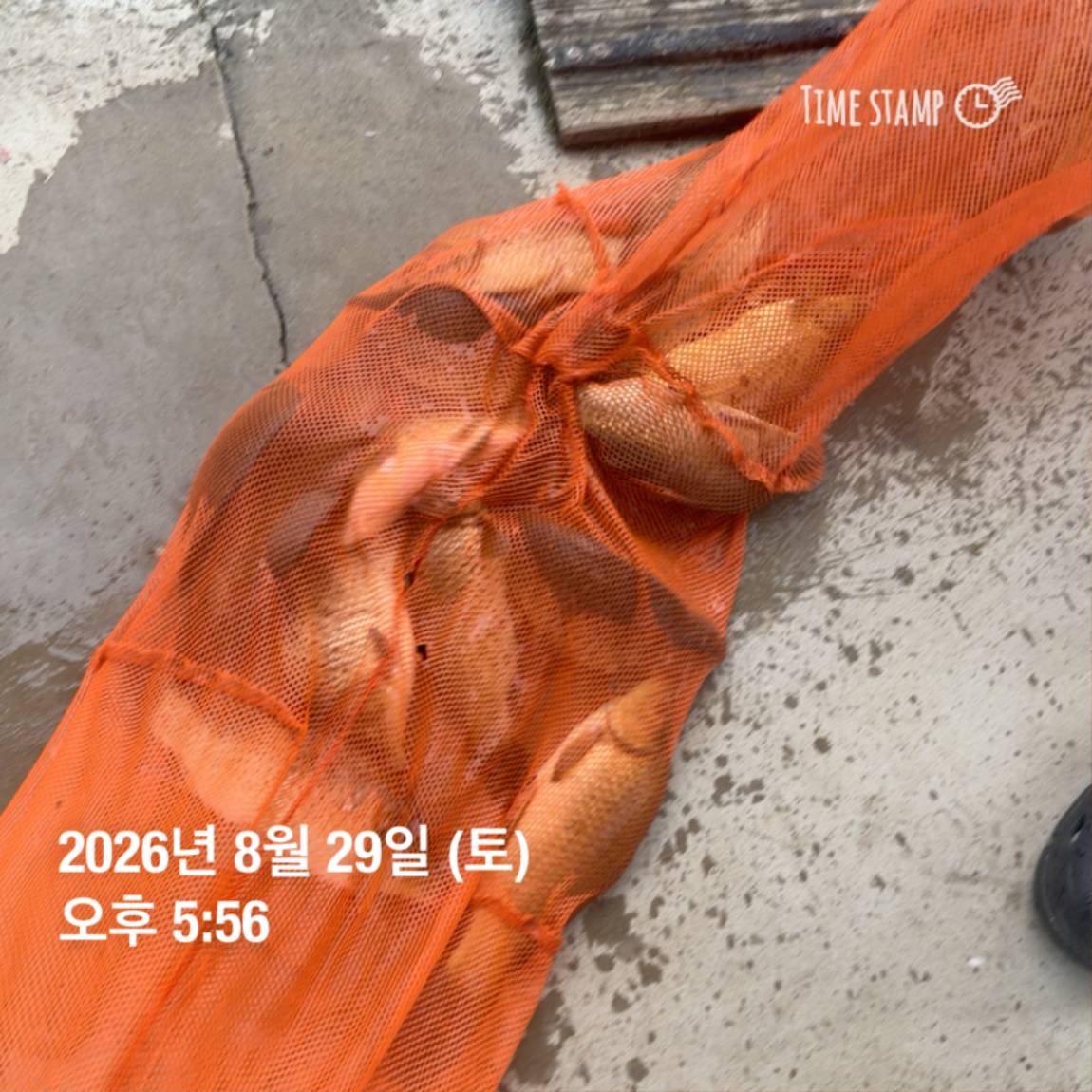 KakaoTalk_20260831_111229538_27.jpg