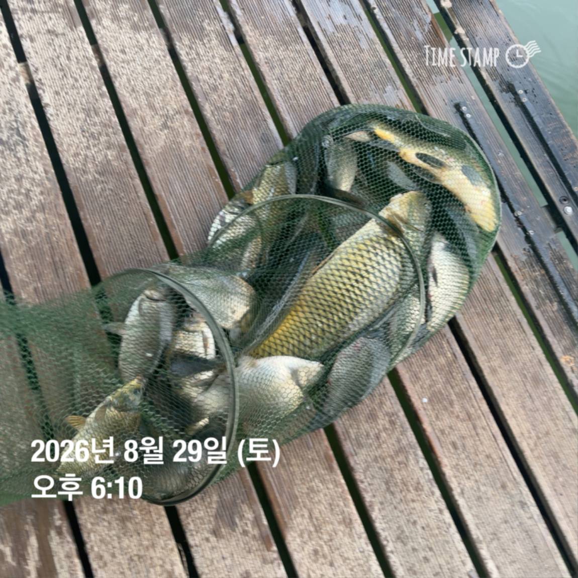 KakaoTalk_20260831_111229538_28.jpg