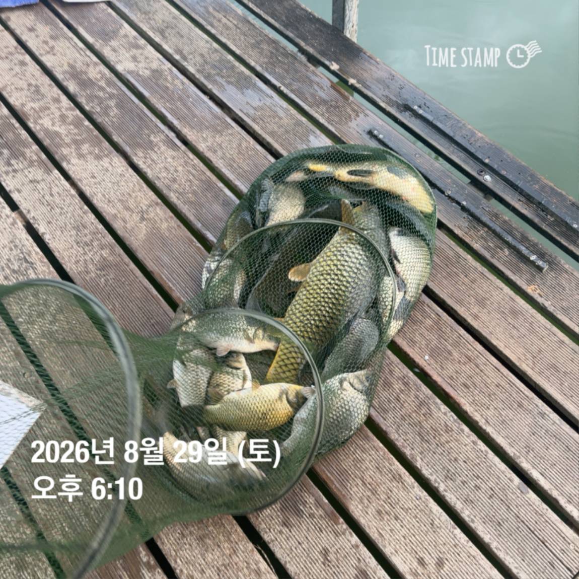 KakaoTalk_20260831_111248820.jpg