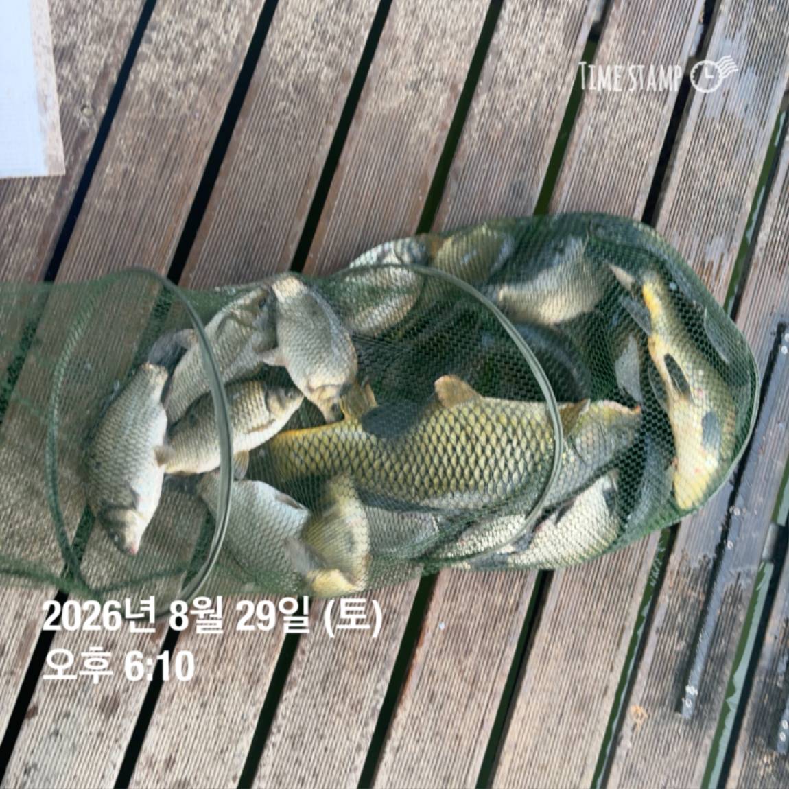 KakaoTalk_20260831_111229538_29.jpg