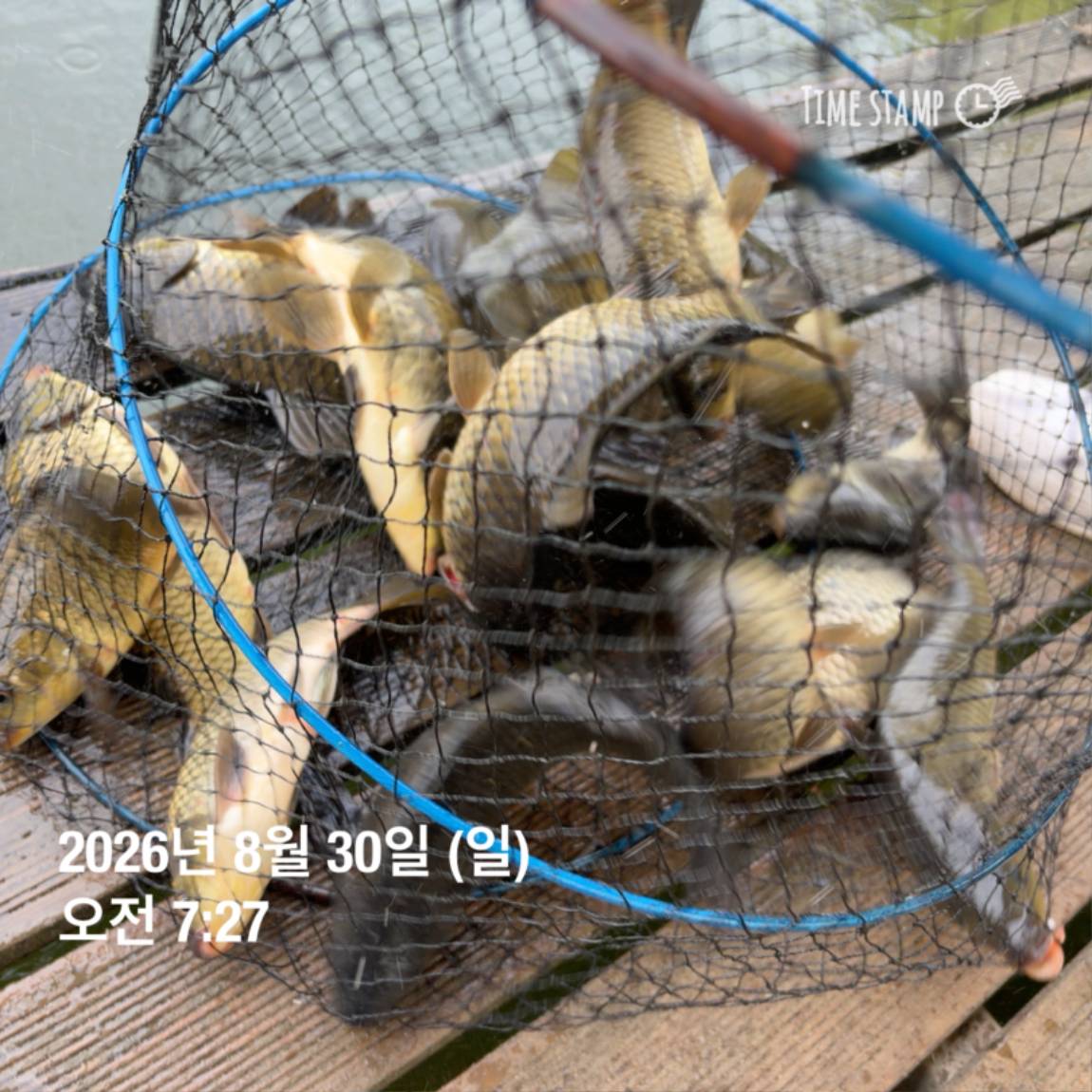 KakaoTalk_20260831_111248820_06.jpg