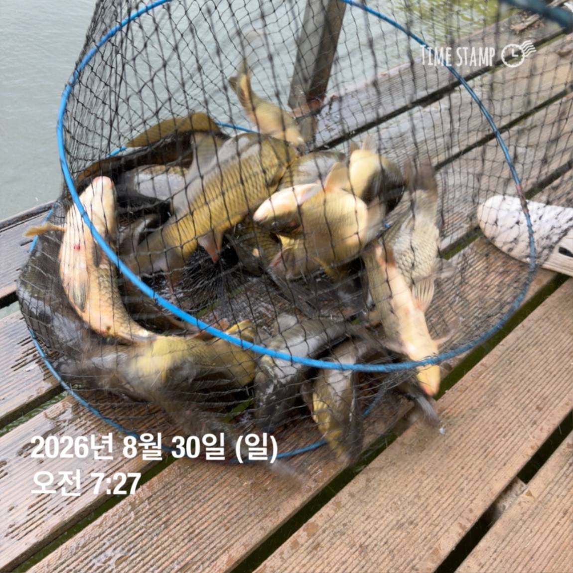 KakaoTalk_20260831_111248820_05.jpg