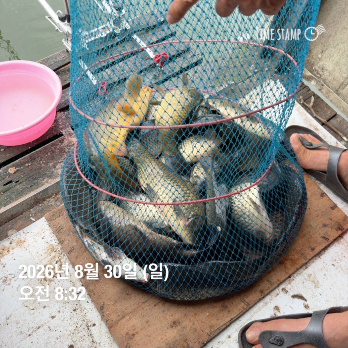 KakaoTalk_20260831_111248820_07.jpg