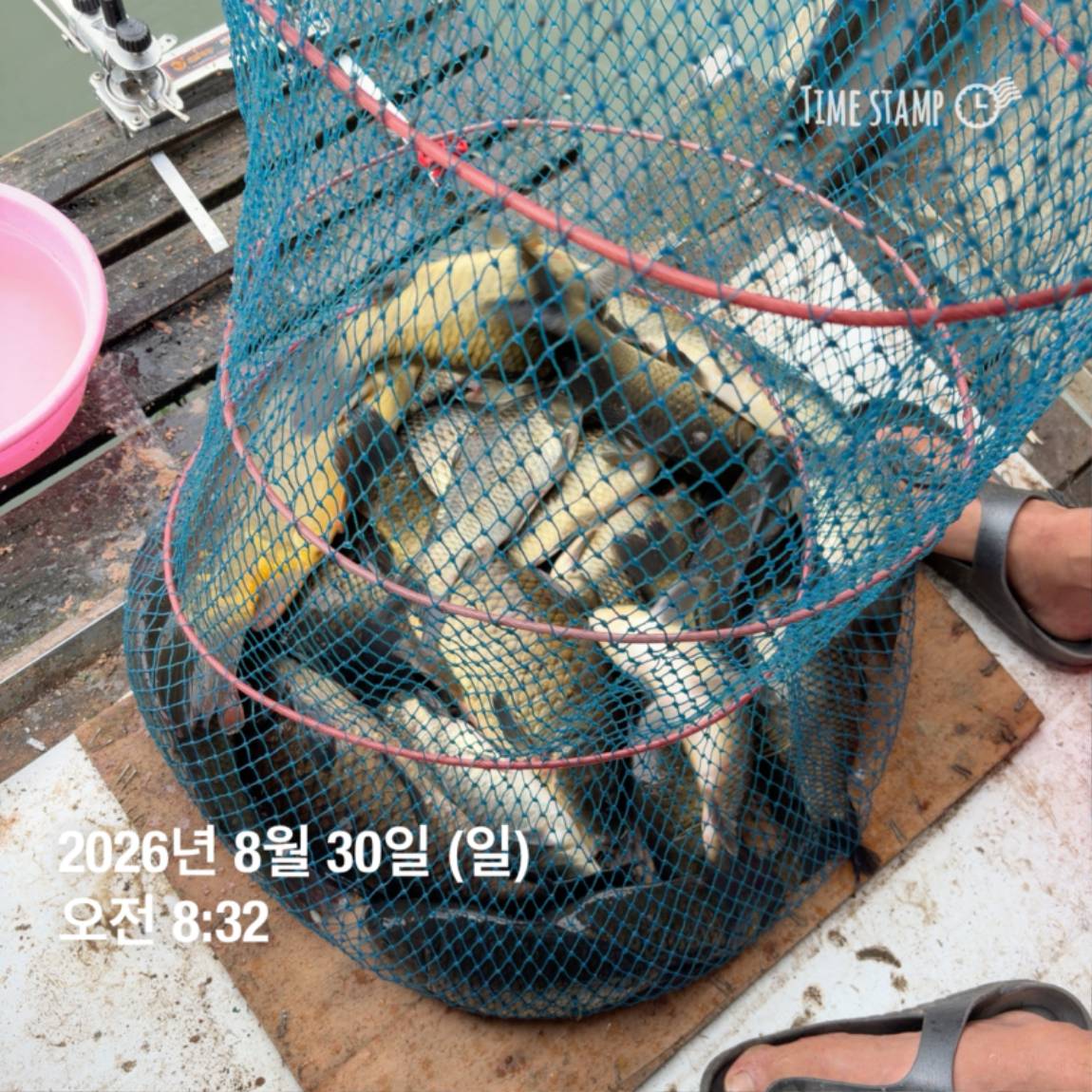 KakaoTalk_20260831_111248820_08.jpg
