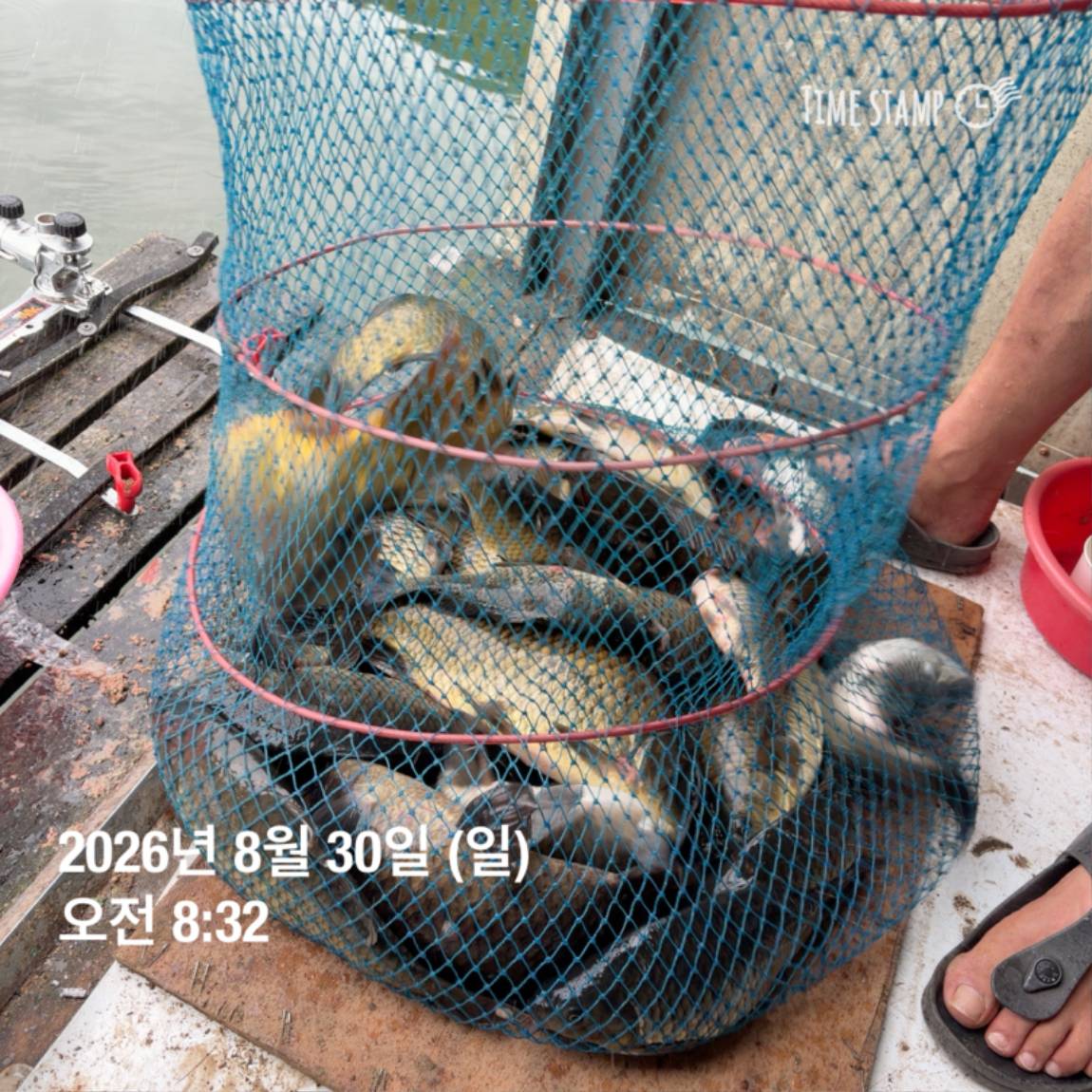 KakaoTalk_20260831_111248820_09.jpg