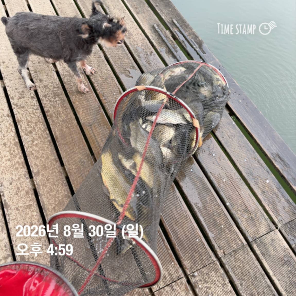 KakaoTalk_20260831_111248820_11.jpg