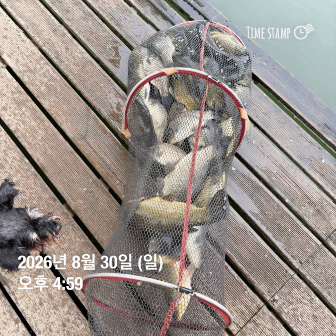 KakaoTalk_20260831_111248820_12.jpg