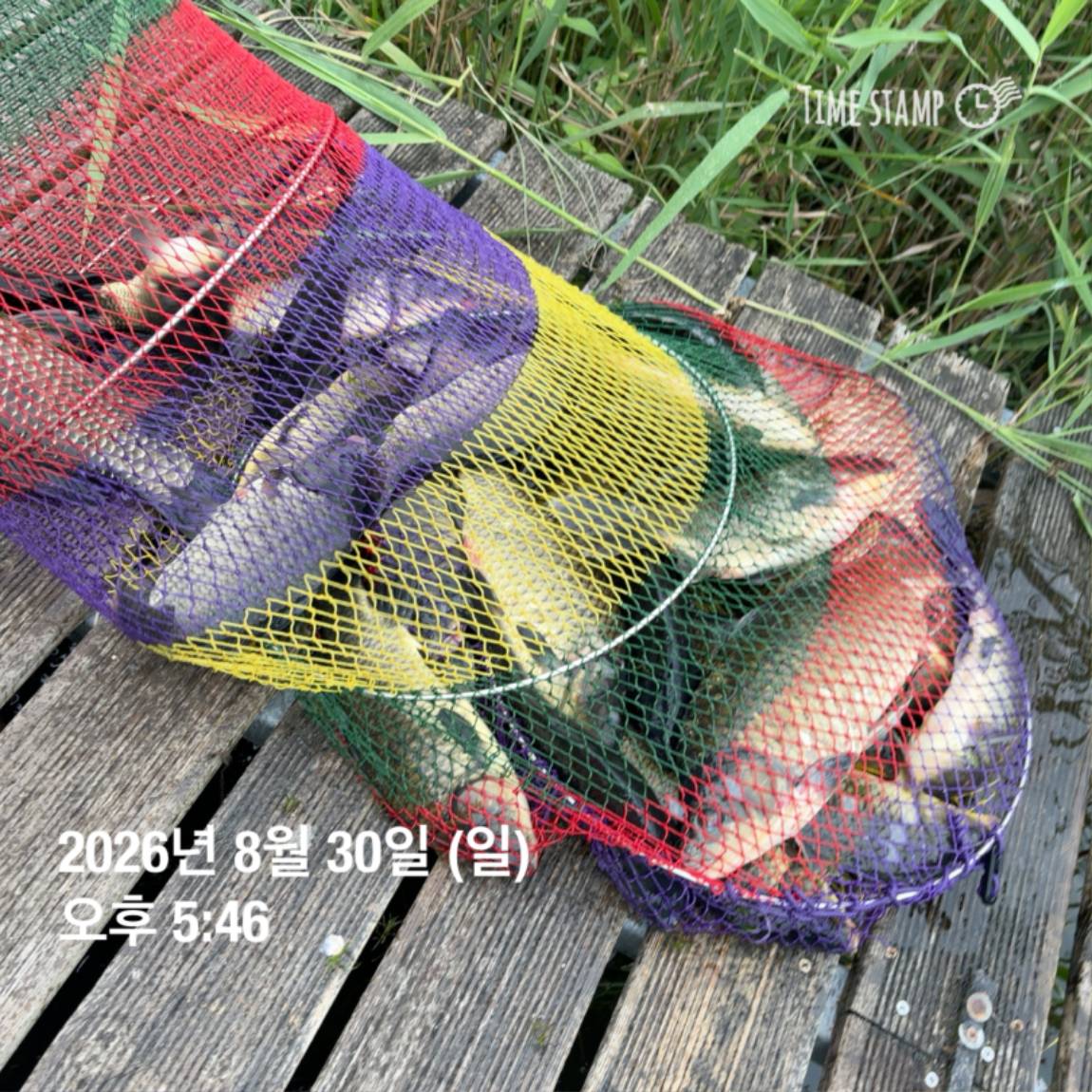 KakaoTalk_20260831_111248820_14.jpg