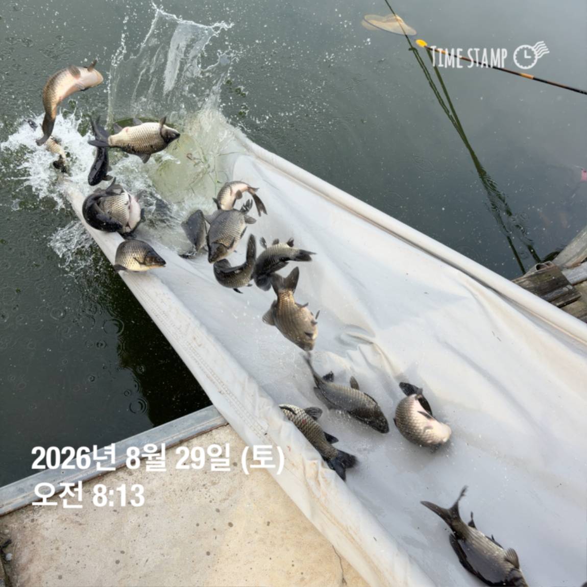 KakaoTalk_20260831_111248820_17.jpg