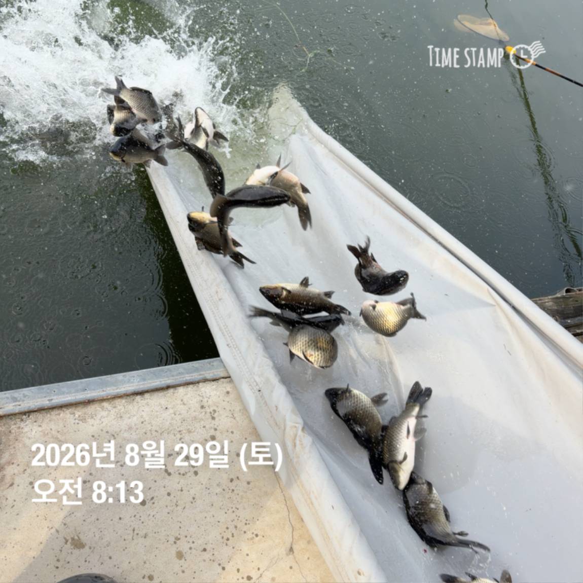 KakaoTalk_20260831_111248820_20.jpg