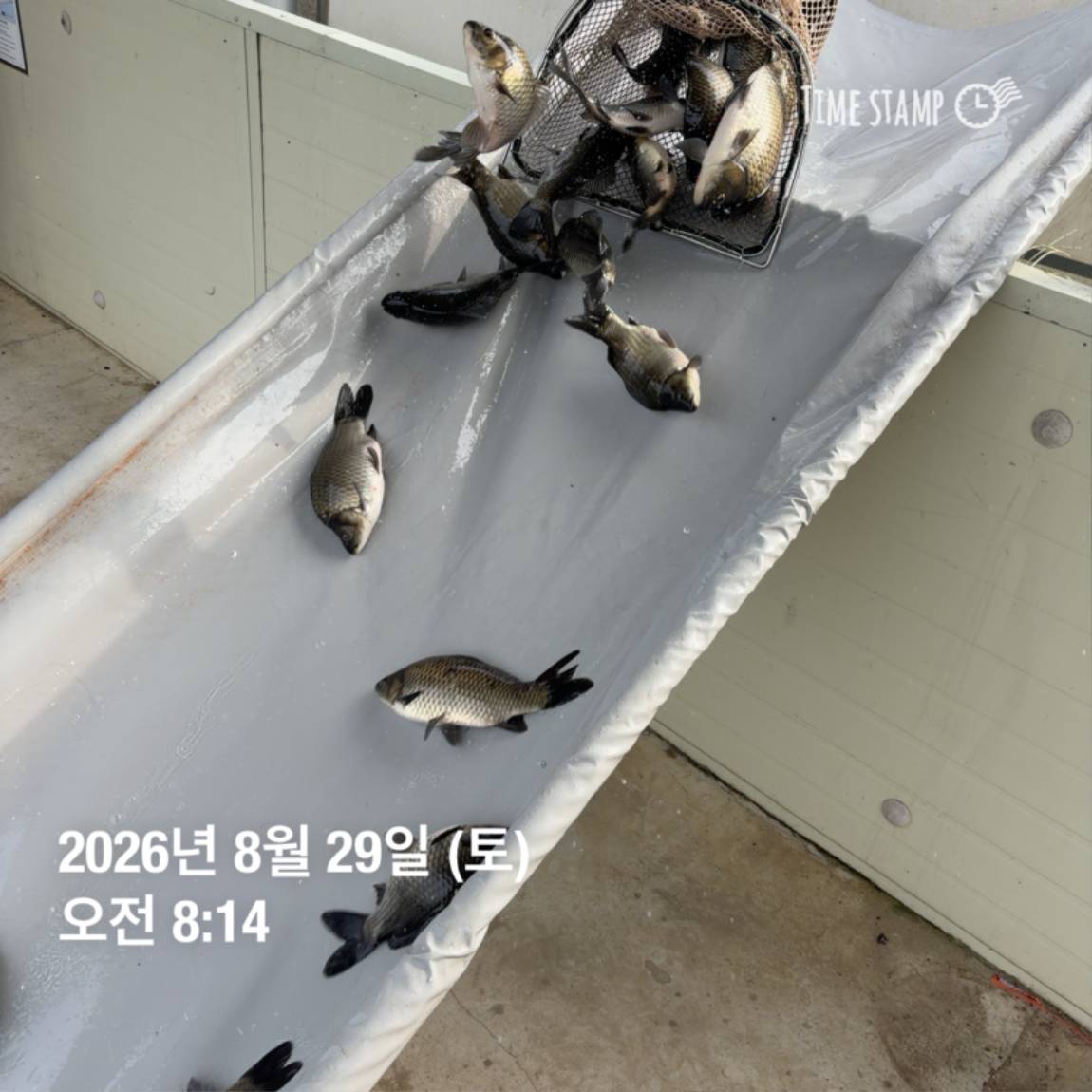 KakaoTalk_20260831_111248820_25.jpg