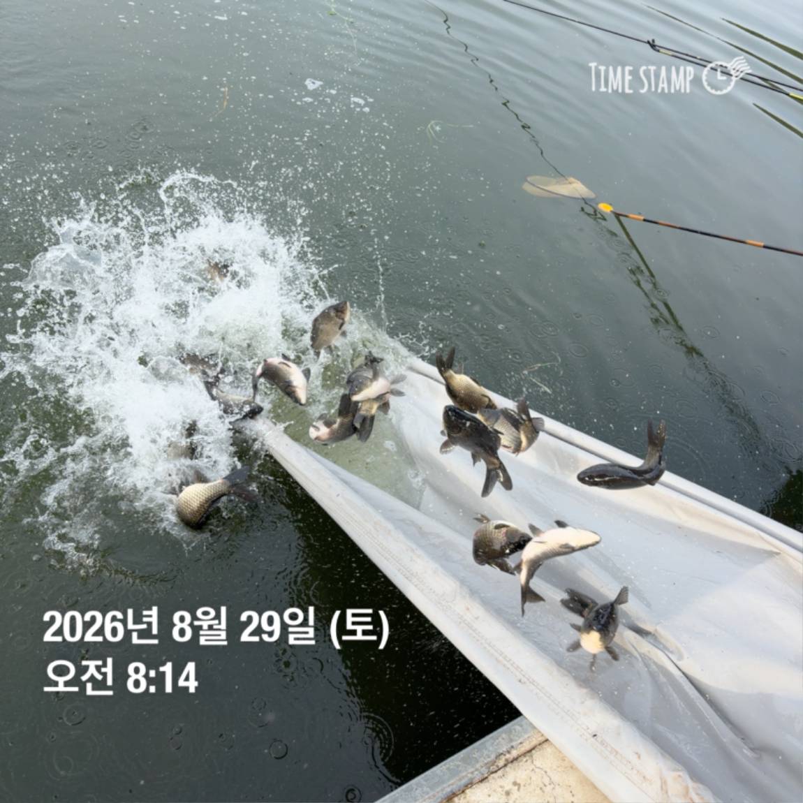 KakaoTalk_20260831_111300184_02.jpg