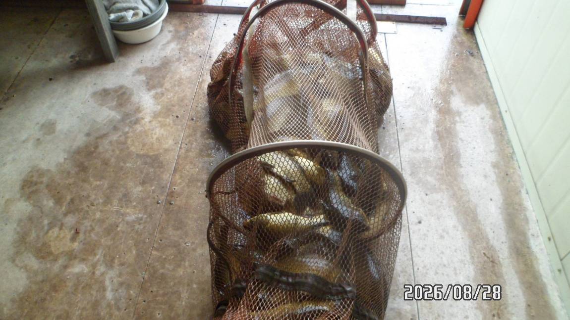 SAM_7517.JPG