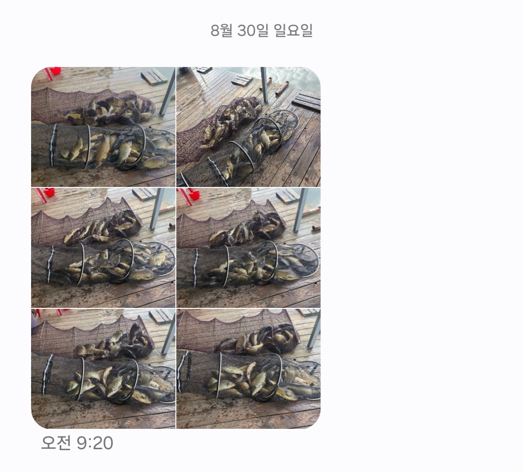 KakaoTalk_20260831_150508058_03.jpg