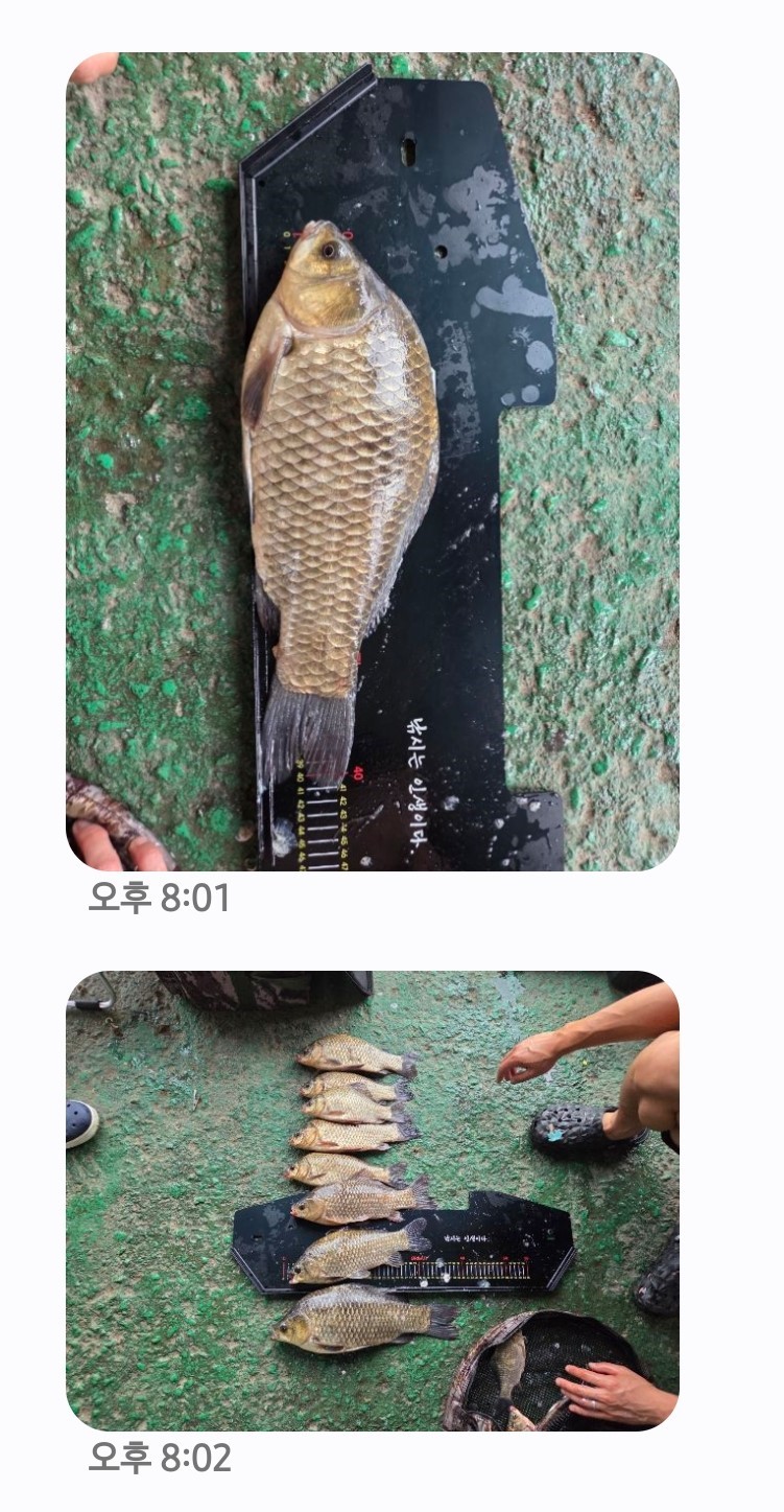 Screenshot_20260831_200354_Messages.jpg