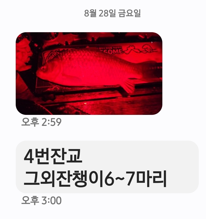Screenshot_20260831_185341_Messages.jpg