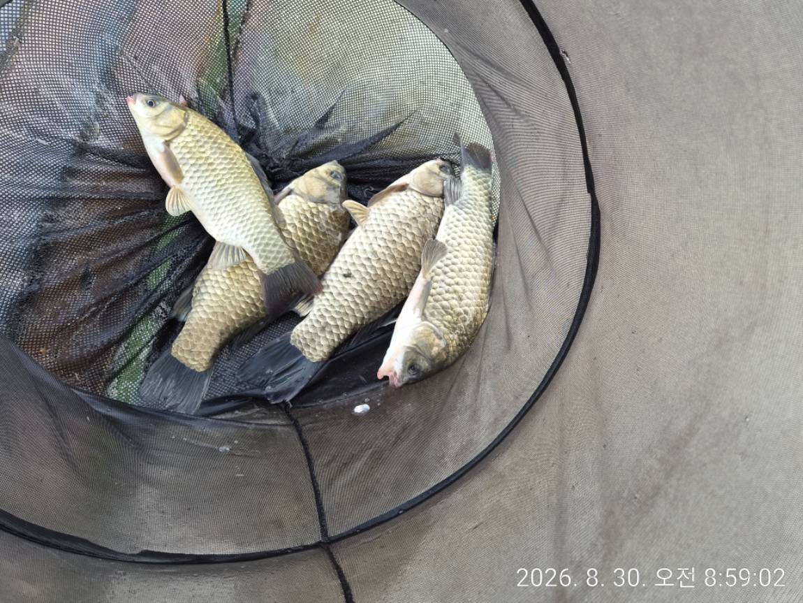 KakaoTalk_20260831_182238742_09.jpg