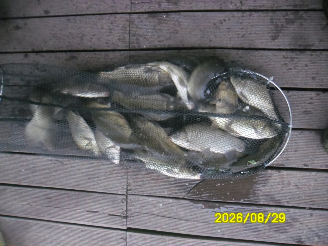 SAM_2347.JPG