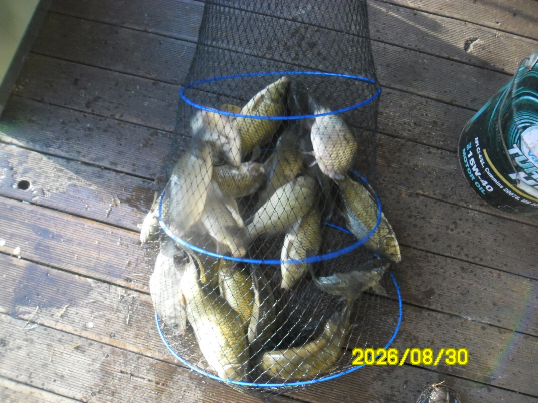 SAM_2390.JPG