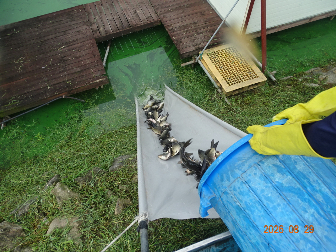 DSC08004.JPG