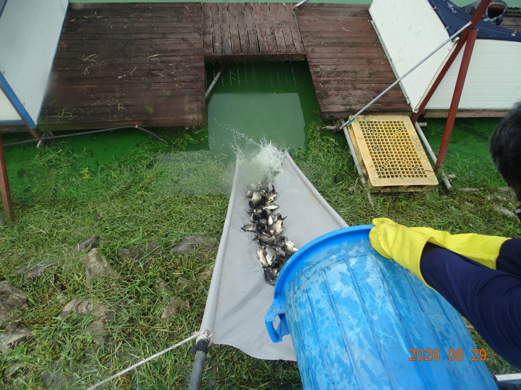 DSC08009.JPG