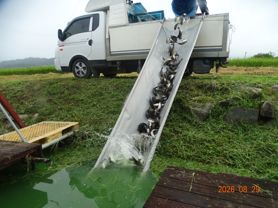 DSC08018.JPG