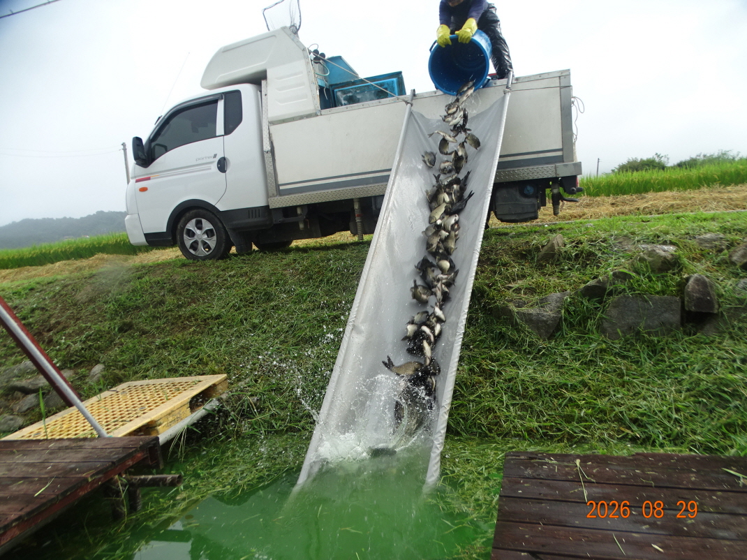DSC08020.JPG
