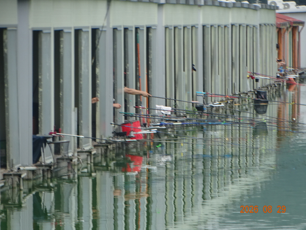 DSC08032.JPG