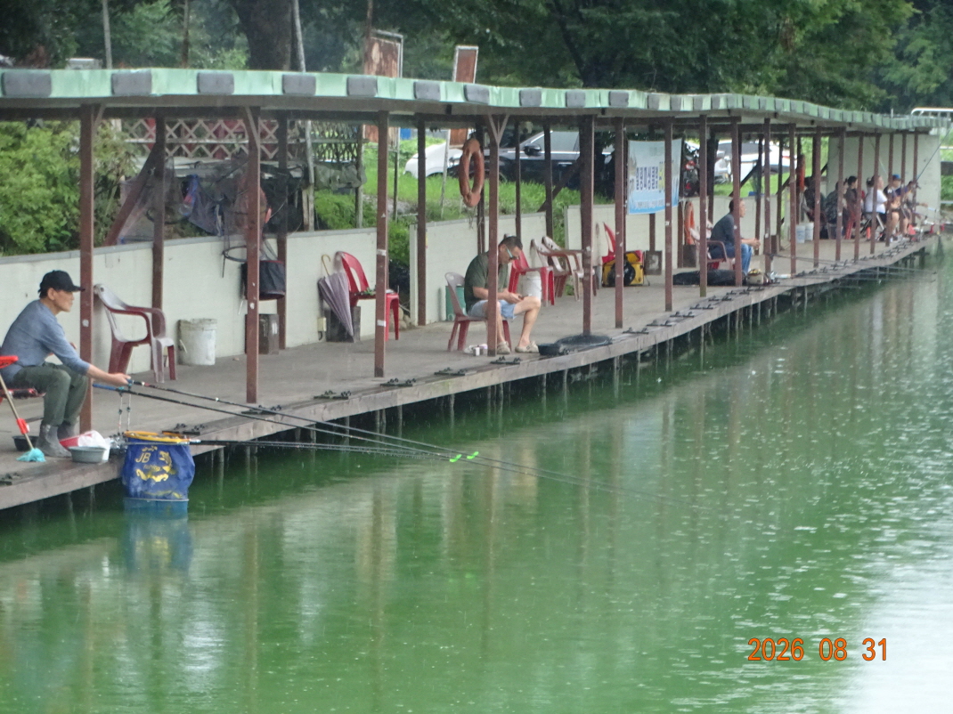 DSC08110.JPG