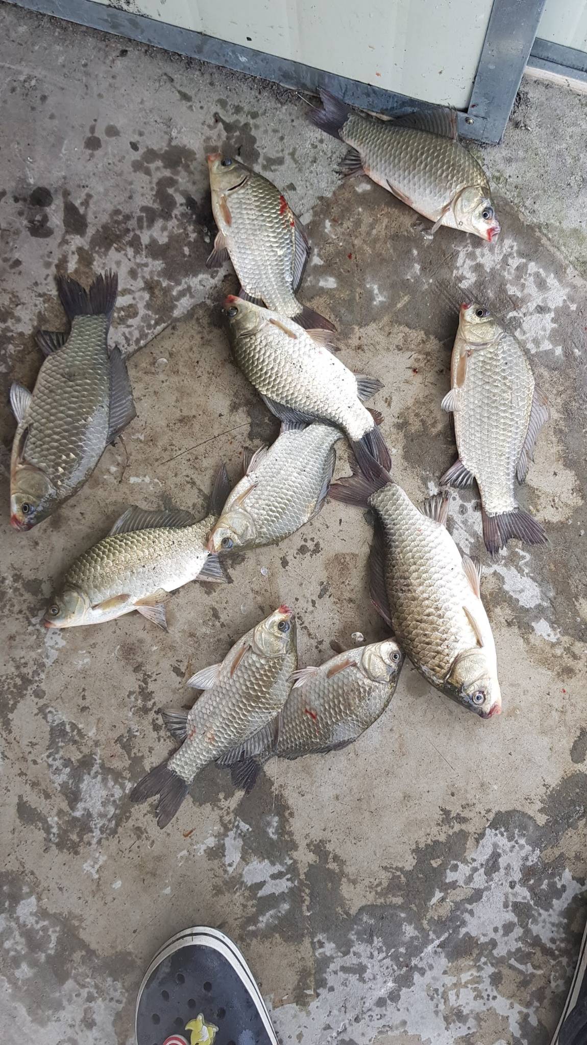 1788247157825.jpg