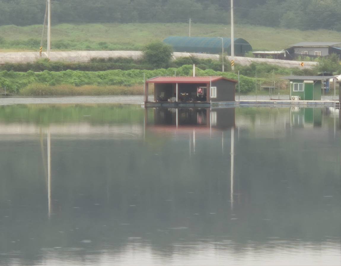 20260830_070843.jpg