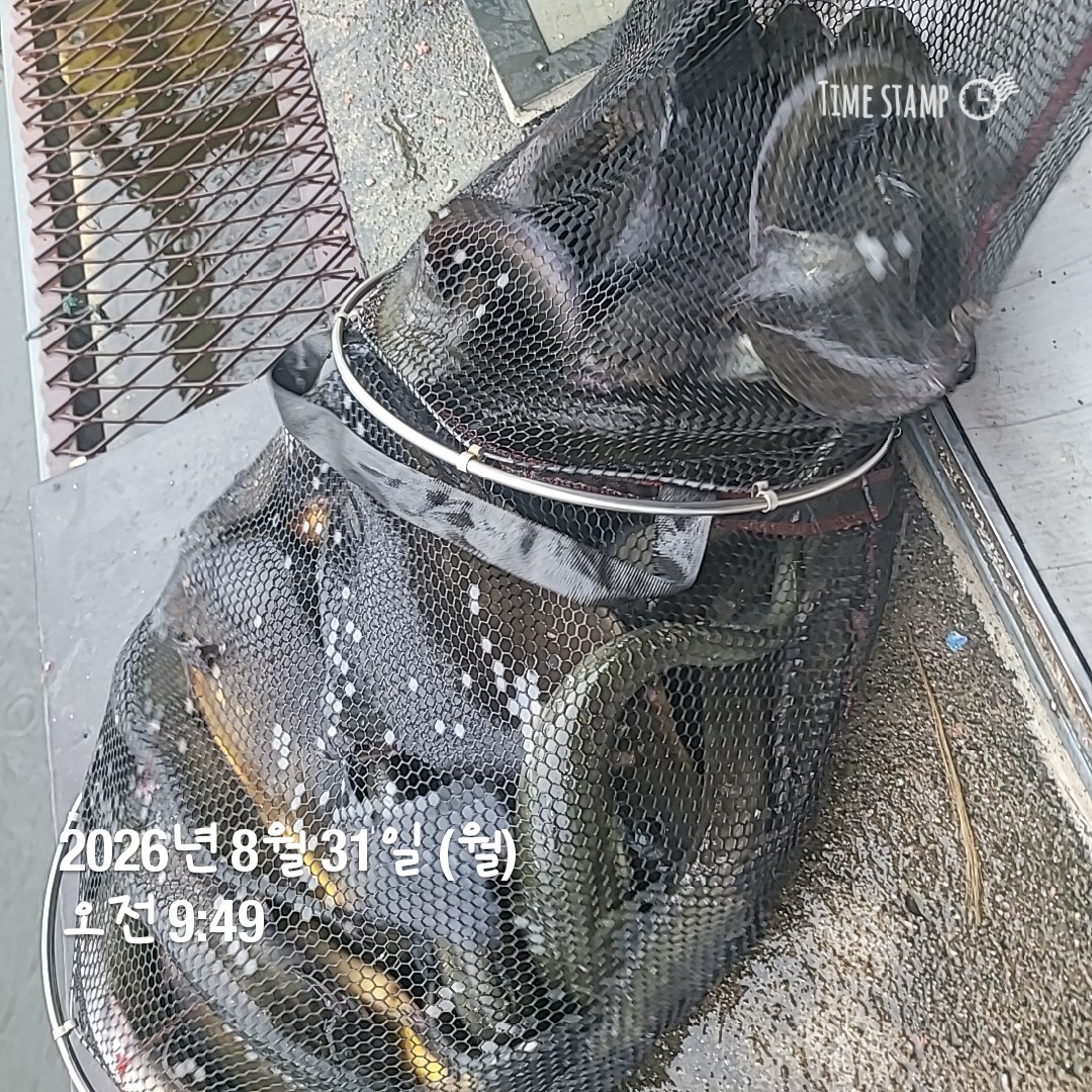 2026-08-31T09_49_00.467.jpg