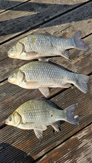 KakaoTalk_20260902_090608200_03.jpg