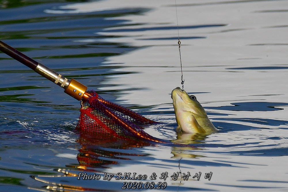 DSC_1764.JPG