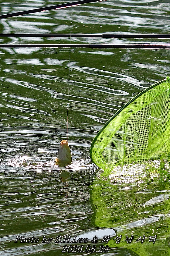 DSC_1770.JPG