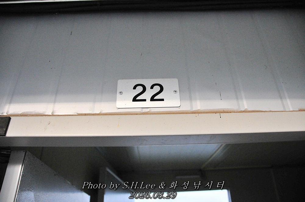 LSH_6449.JPG