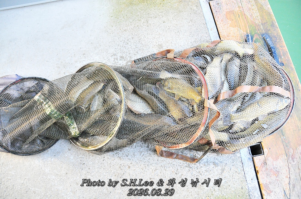 LSH_6451.JPG