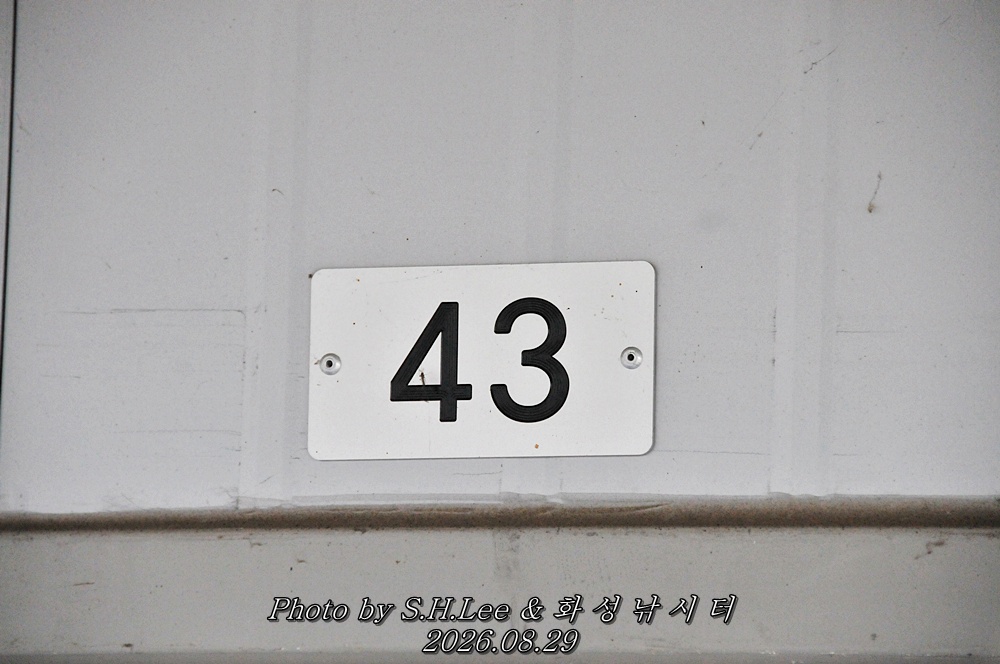 LSH_6452.JPG