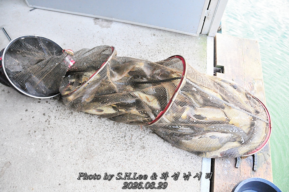 LSH_6454.JPG