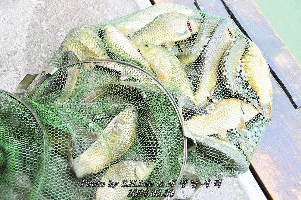 LSH_6491.JPG