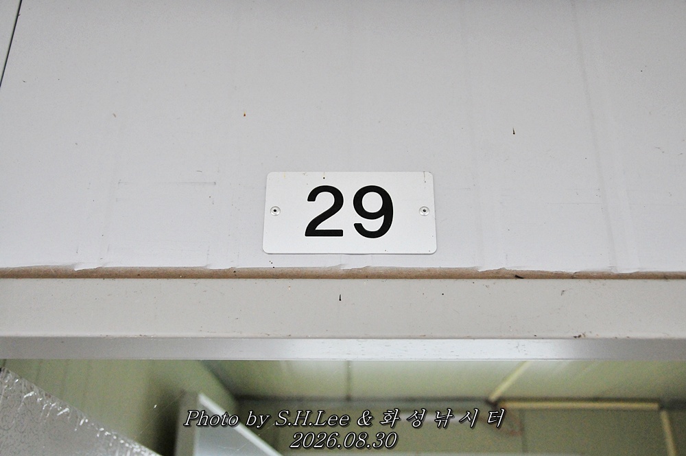 LSH_6493.JPG