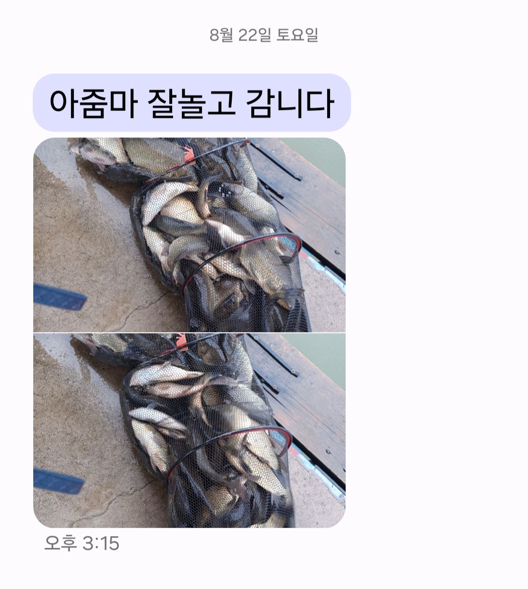 Screenshot_20260822_151531_Messages.jpg