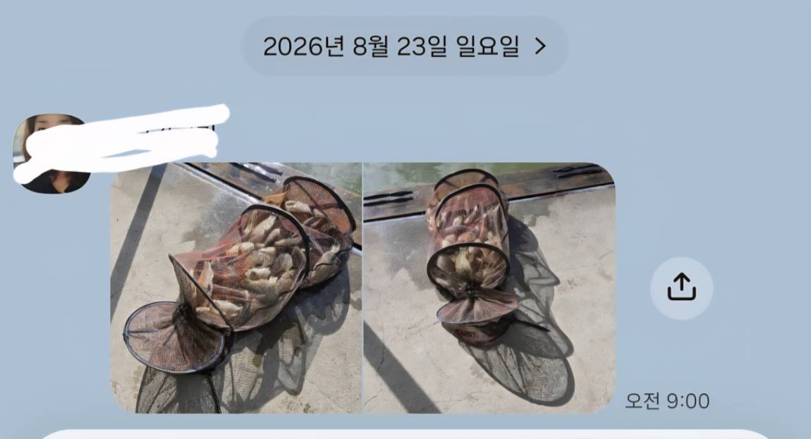 Screenshot_20260823_184037_KakaoTalk.jpg