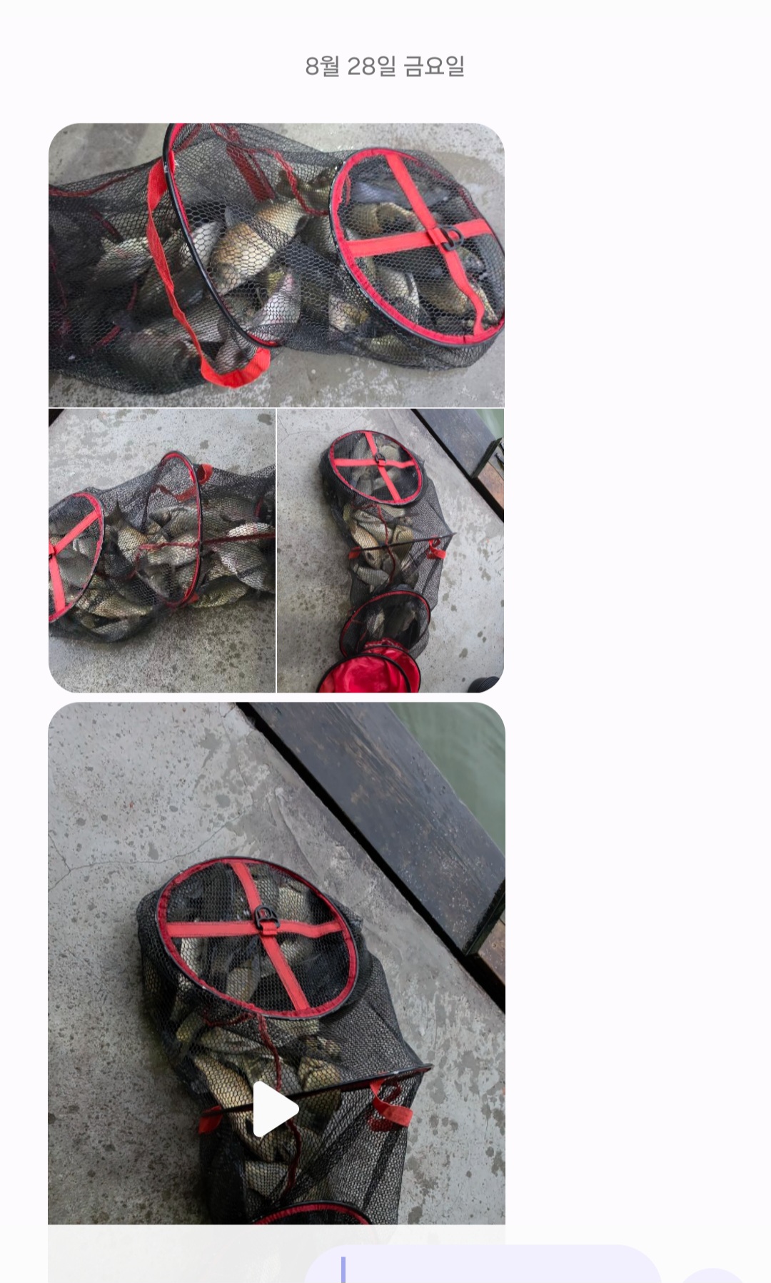 Screenshot_20260828_191504_Messages.jpg