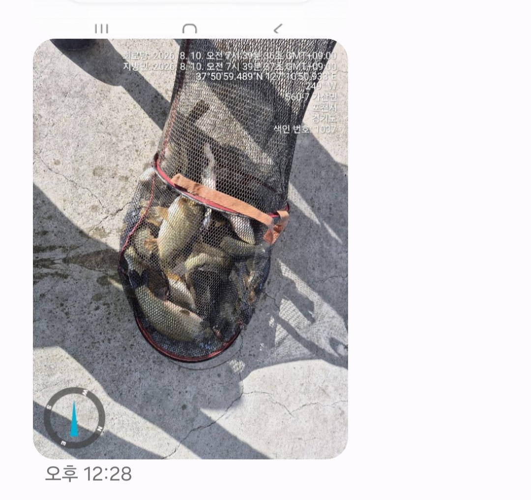 Screenshot_20260903_123115_Messages.jpg