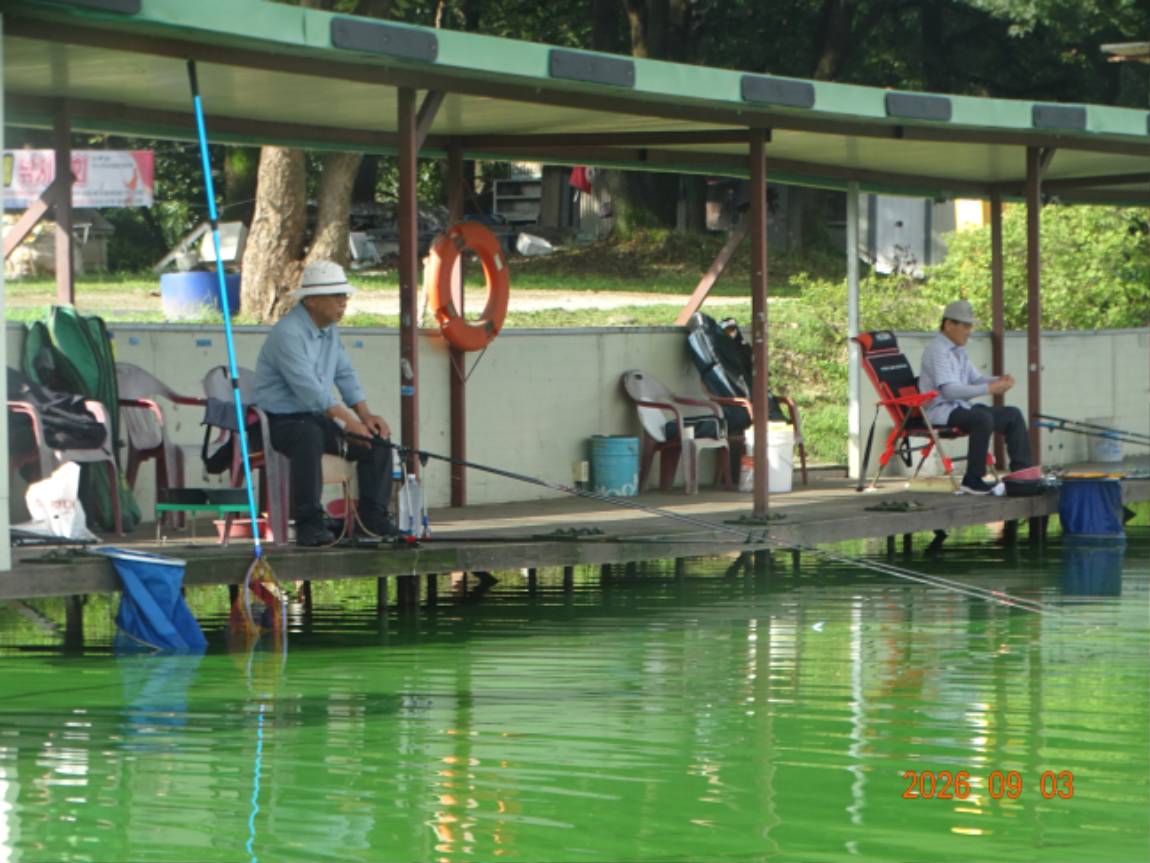DSC08137.JPG