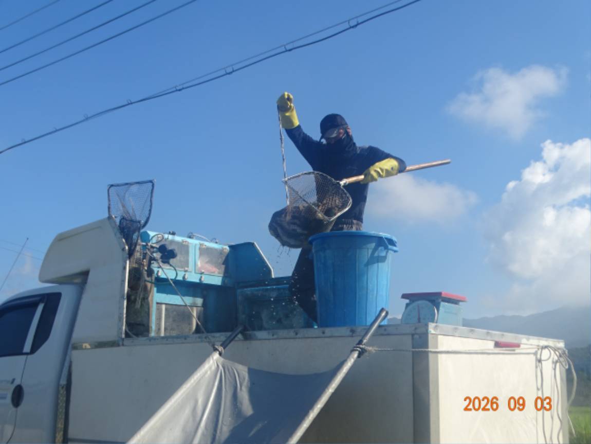 DSC08162.JPG