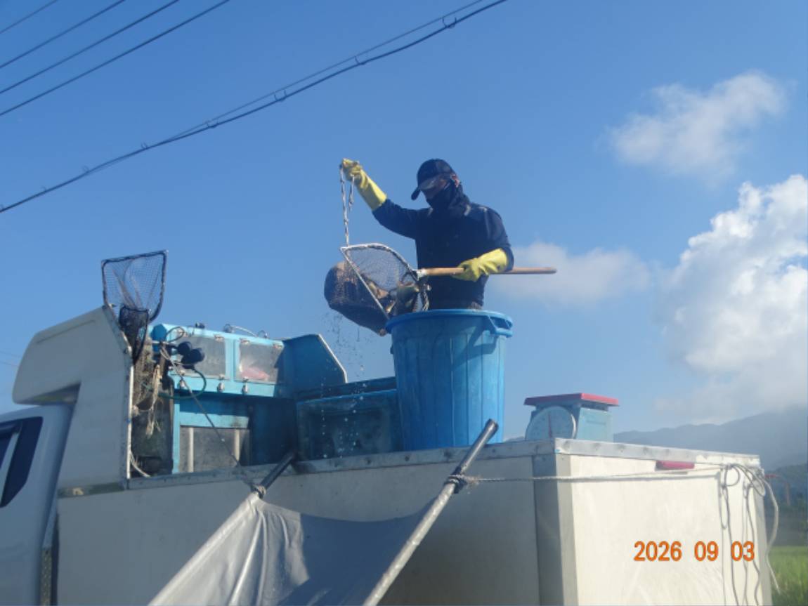 DSC08164.JPG