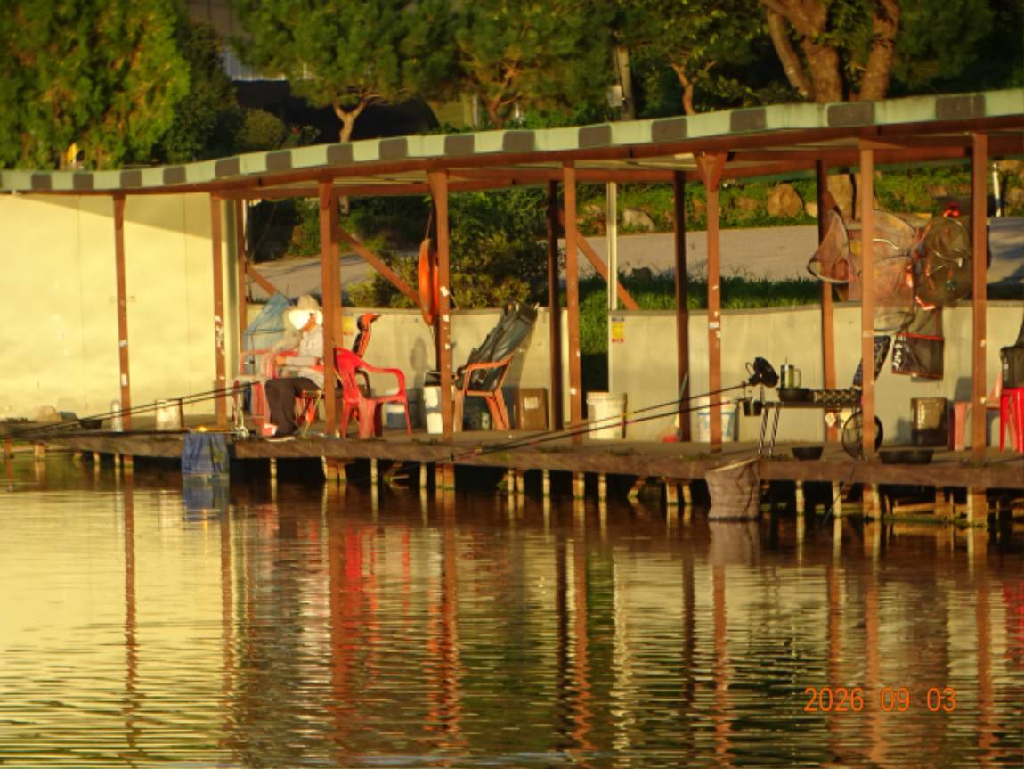 DSC08179.JPG